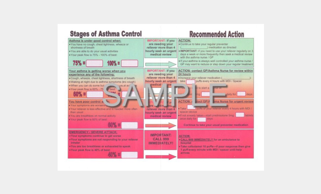 Personal asthma action plan sample image